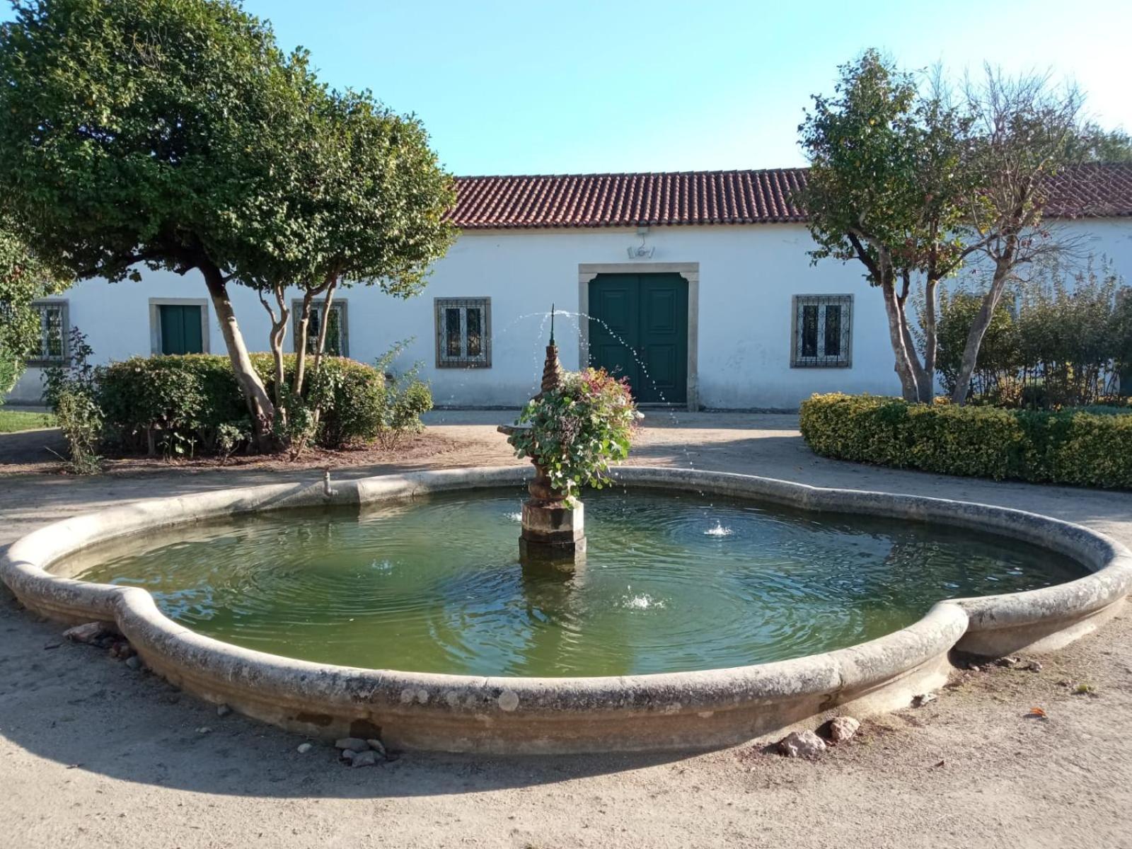 Cozy Classic Apartments 3 - Palácio da Quinta da Portela Coimbra Exterior foto